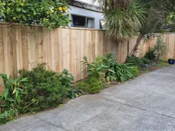 Professional fencing services - timber, paling and custom designs